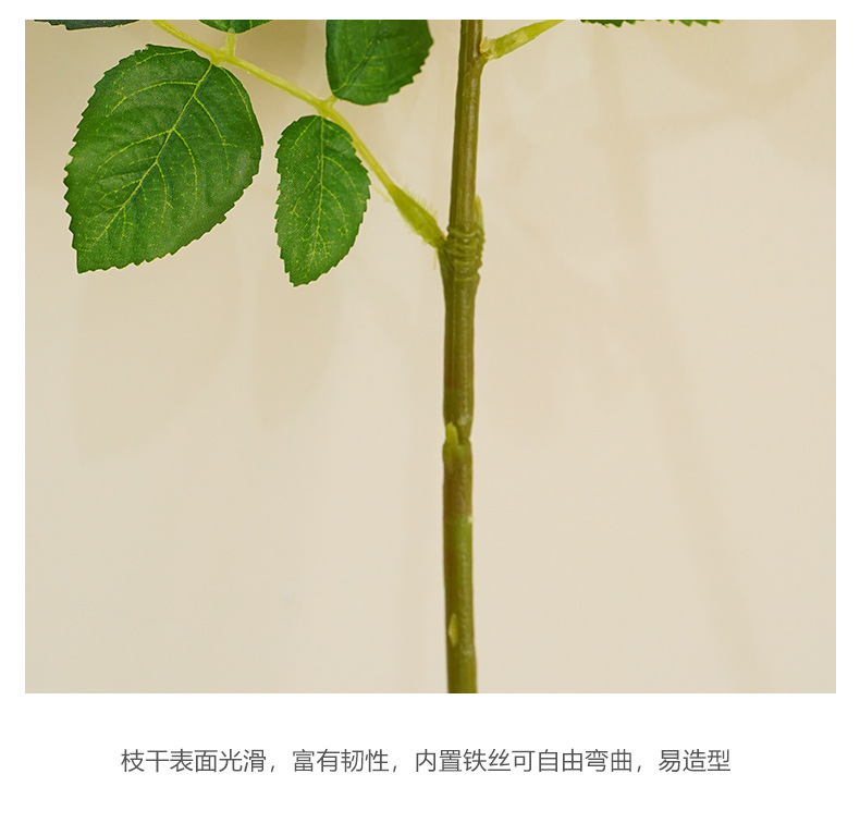 慕斯单枝朵尔玫-米黄_15.jpg