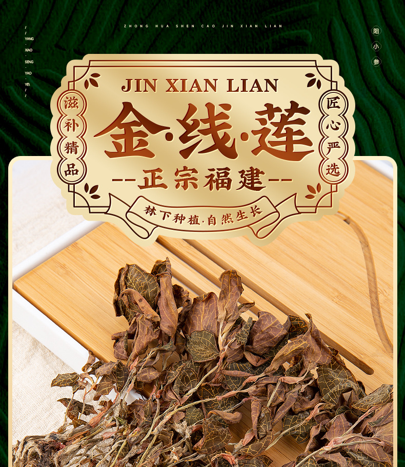 Dried Whole Jin Xian Lian Herb Fujian Origin 10g Jar for Cooking and Soup overview