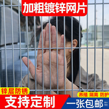 镀锌养殖铁丝网网片片长方形网格围栏金属隔离防护加粗小孔钢丝网