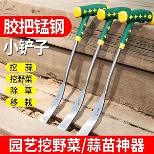 ���j�������P�ӈ@ˇ�N���ؿ��F�P�N�˳��������βݑ�����Ұ������