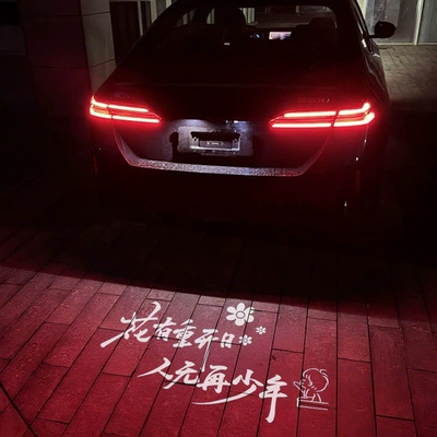 License plate lamp — X5, M3, M4 car trunk welcome light - x511-21-years-projection-license-plate-light-single-teenager