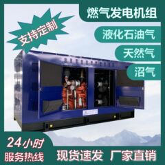 メーカーはプラチナ カミンズ シリーズ 200kW ガス エンジン天然ガス発電機セットを供給します。