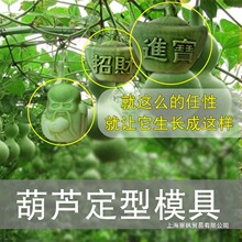 ���J���L���ͷ���ˇ�g���Jģ���������큆�����Jģ����ģģ��ģ��