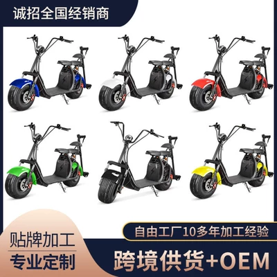 Elektrikli motosikletlər Bikes, Cruiser Bikes, Wide-Tire Off-Road