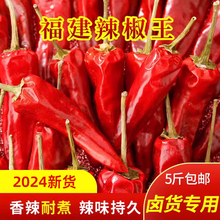 ������������������؛���������������u�˸������������]