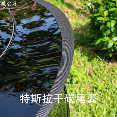 spoiler P version, matte finish: Spoiler