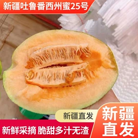 红枣干;哈密瓜;葡萄干