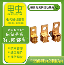 �S�~��ӽӾ��ALGJ-25-35-70-95-185-240ƽ���~�X�Ӿ��A�̶����A