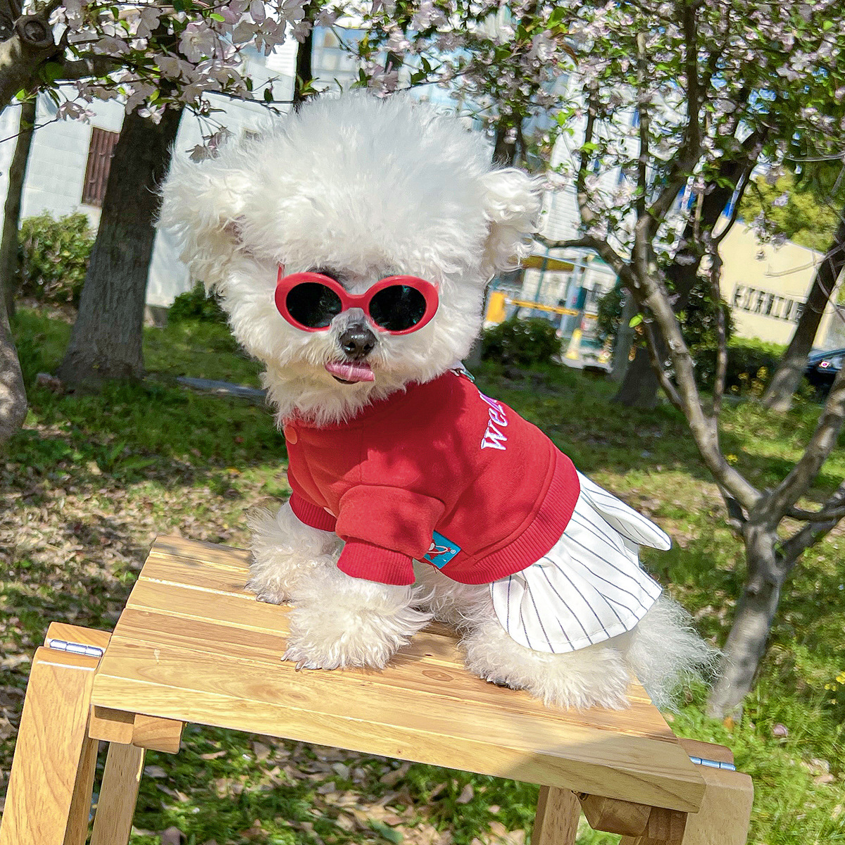 Gfas de sol para mascotas en verano, accesorios para perros pequeños, gafas de sol para mascotas lindas y guapos