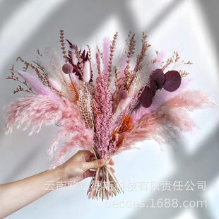 Amazon's Best-Selling Small Reed Dried Flower Bouquet Wedding Scandinavian Style Ornaments Small Home Furnishings Bouquet Window Props