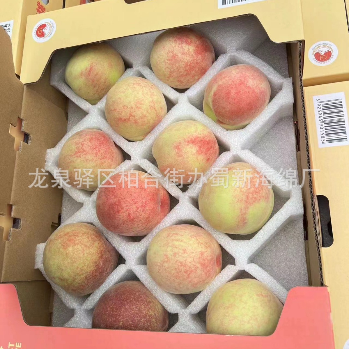 厂家供应水蜜桃珍珠棉包装泡沫/桃子水果包装