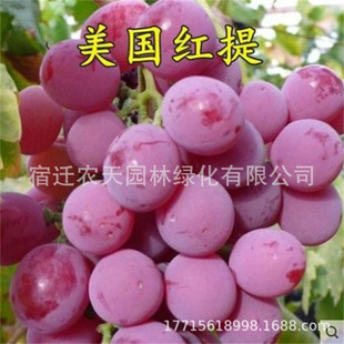 ������ӡ�������������������1̖һ̖���_ɯ�������ָ���ј���