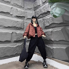 时尚米字格棉服女2025秋季新款休闲宽松立领小众短款外套棉衣