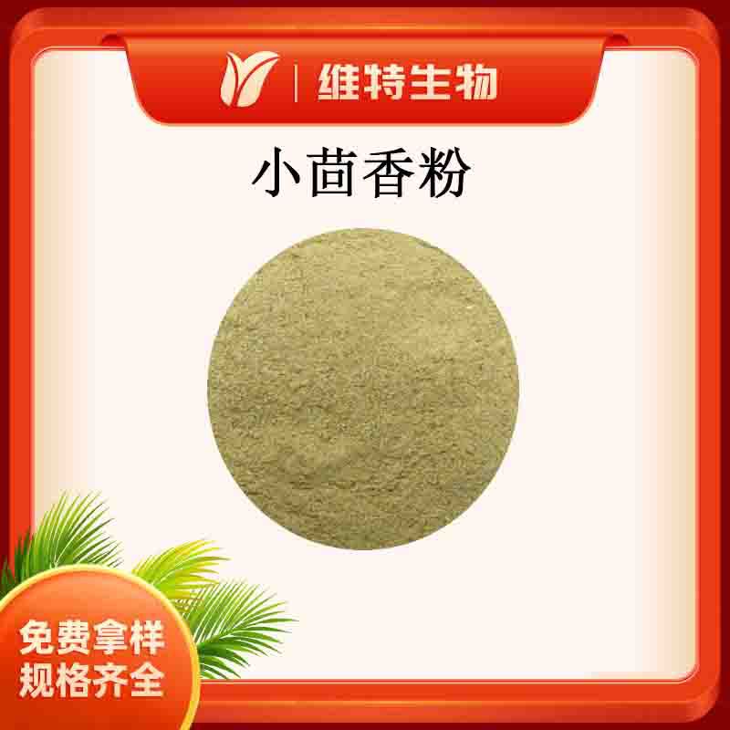 小茴香粉 维特生物 香辛料粉 80目茴香籽粉 不溶于水