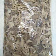 ���� ˮ�󼧹�1kg �s���� ��ˮ���乽ˮ���㹽���^��ʲ�\�����^