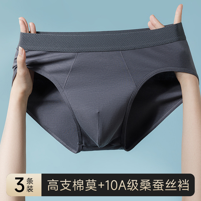 Modal Underwear Men's Comfortable Breathable Mid-Waist Men's Briefs Large Size Sexy Youth Shorts Wholesale