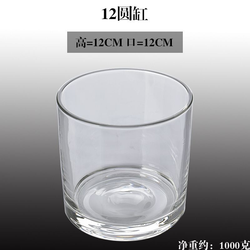 水培郁金香花盆正方形玻璃花瓶透明绿萝水养植物乌龟方缸摆件插花|undefined