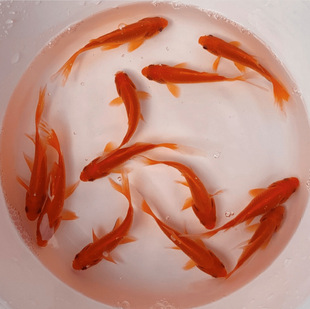 ���~���~�t�����B���~�lؔ�~��������~��ˮ�~�\�a�J��