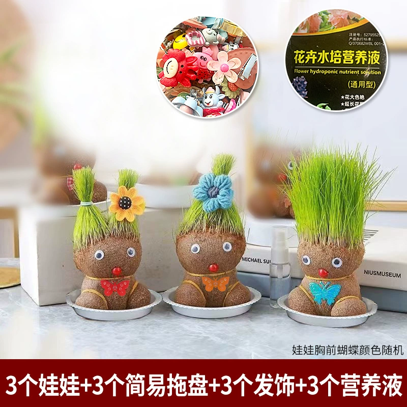 [批发草头娃娃浇水头上长草人绿植长头发儿童好养种草幼儿园桌面小]