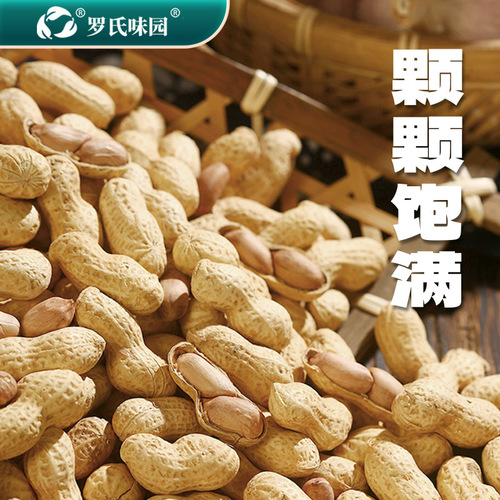 New arrival shelled peanuts with garlic, tangerine peel, and walnuts flavor, fried thin-shelled peanut snacks for drinking, wholesale nuts.