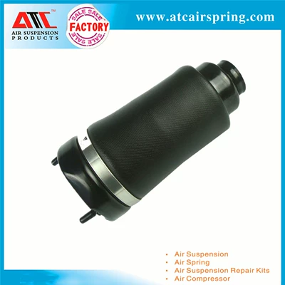 damping system Shock Absorber Semi-Assembly