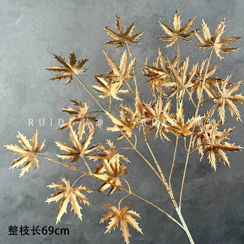 단풍잎
