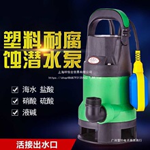 耐腐蚀化工泵耐酸碱泵塑料泵潜水泵220V家用小型海水泵防腐泵工业