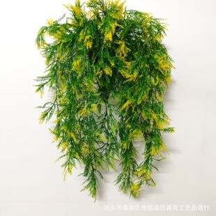 �������ɲ�����Gֲ�Ғ��b��̈������������쾰���滨�߷���ֲ��