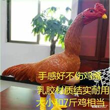 ���u��Ʒ���uģ�ͼ��uӖ�����u�ٹ������z���u�u