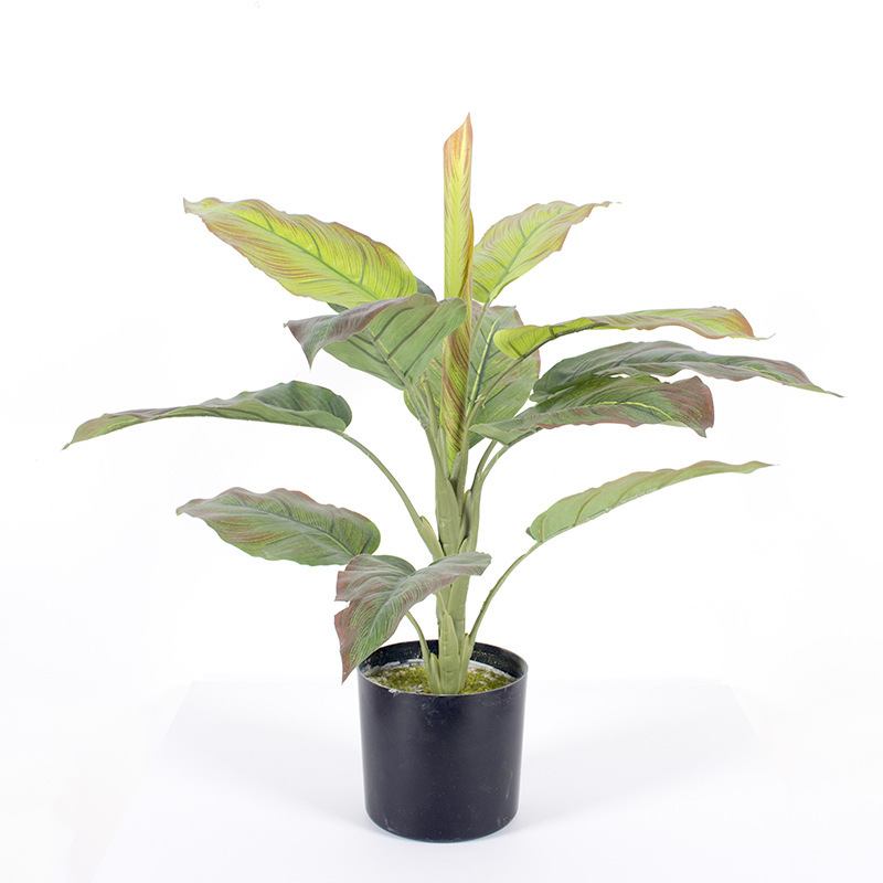 Escenografía de estilo nórdico Simulación de plantas verdes Plantas en macetas Centro comercial Simulación de decoración suave Plantas verdes falsas