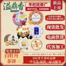 溢鼎香白牡丹花香全荒野高山茶饼福鼎工艺老白茶寿眉贡眉枣香荒山