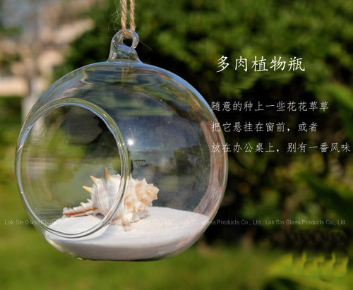 Simple hanging micro landscape ecological bottle succulent glass vase crystal transparent round manufacturer wholesale