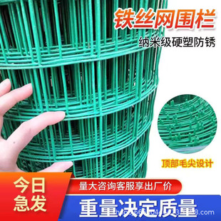 ����С���F�z�W���ڸ��x�Bֳ����W�����B�u����늺��W�Gɫ���m�W
