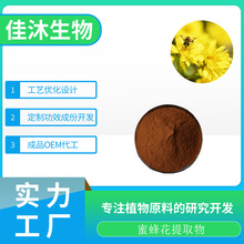 SC 厂家现货优价供应蜜蜂花提取物 蜜蜂花粉10:1样品供应量大从优