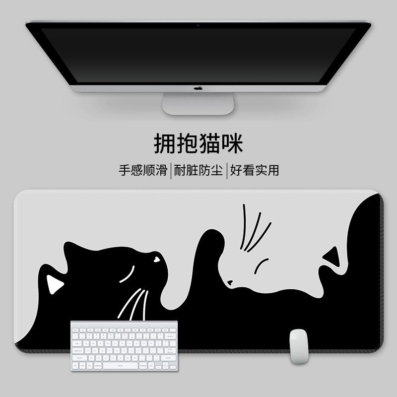 흑백 포옹 고양이