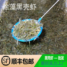 �^�p�r���l�ښ��r�׳����r��ˮ���坍�rˮ�����쾰�~�׹����r