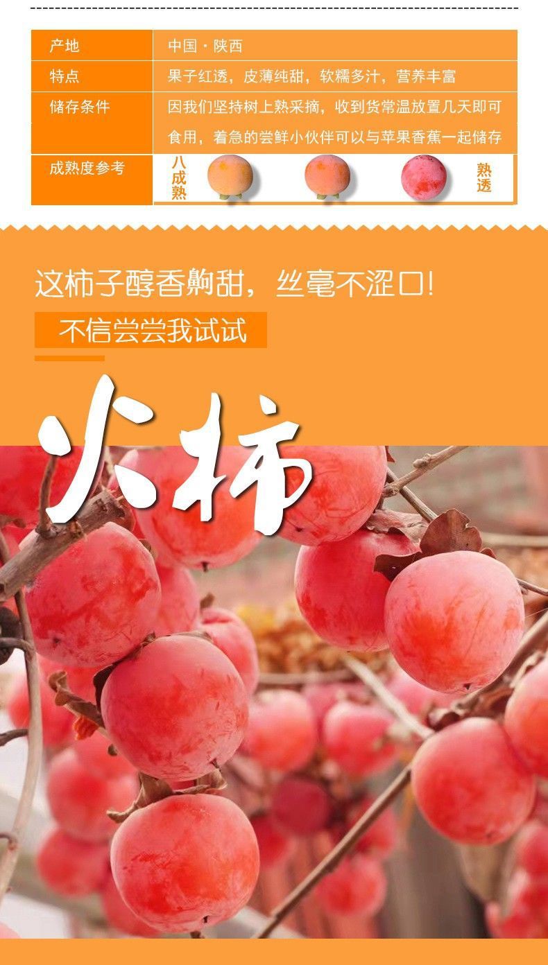 4f771643-d8d8-497b-91f6-c66e3166ca53.jpe