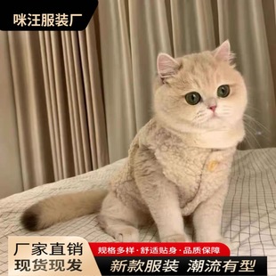 Cat Clothes Cross-border Cute Cat Warm Lamb Hair Teddy Bomei Pet Clothes Dog Autumn and Winter Cotton Vest