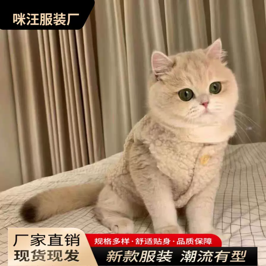 猫衣服跨境可爱猫咪保暖羊羔毛泰迪博美宠物衣服狗狗秋冬款棉马甲