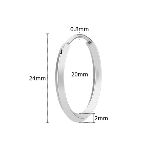 Japanese hot-selling Korean all-match plain hoop titanium steel earrings simple light luxury ins niche high-end personalized diamond earrings