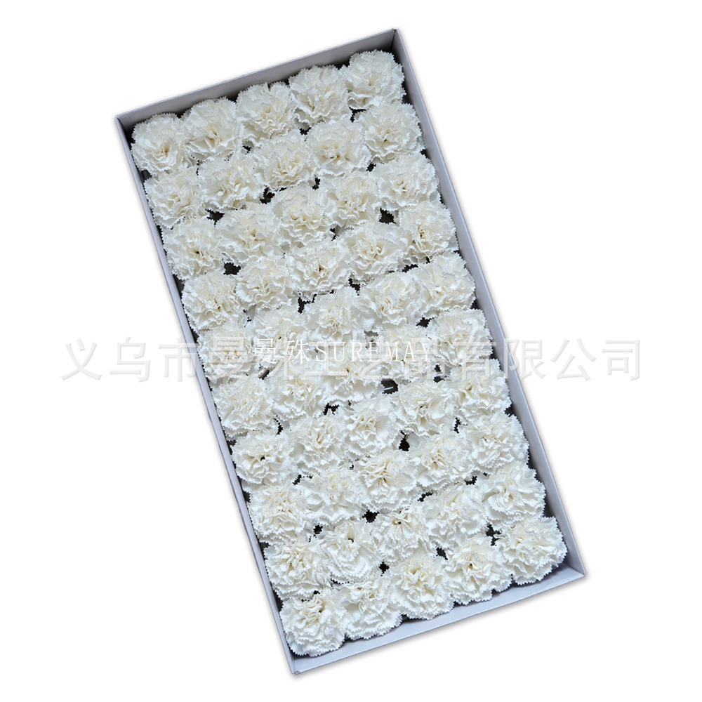 Millennium Carnation [Pure White]