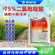 龙权 二氯吡啶酸 甘蓝型白菜型油菜苗后除草剂刺儿菜苦荬菜鬼针草