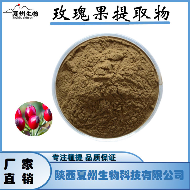 玫瑰果提取物 刺玫果提取物 VC10% 夏州供应 另10/20/30:1 可寄样