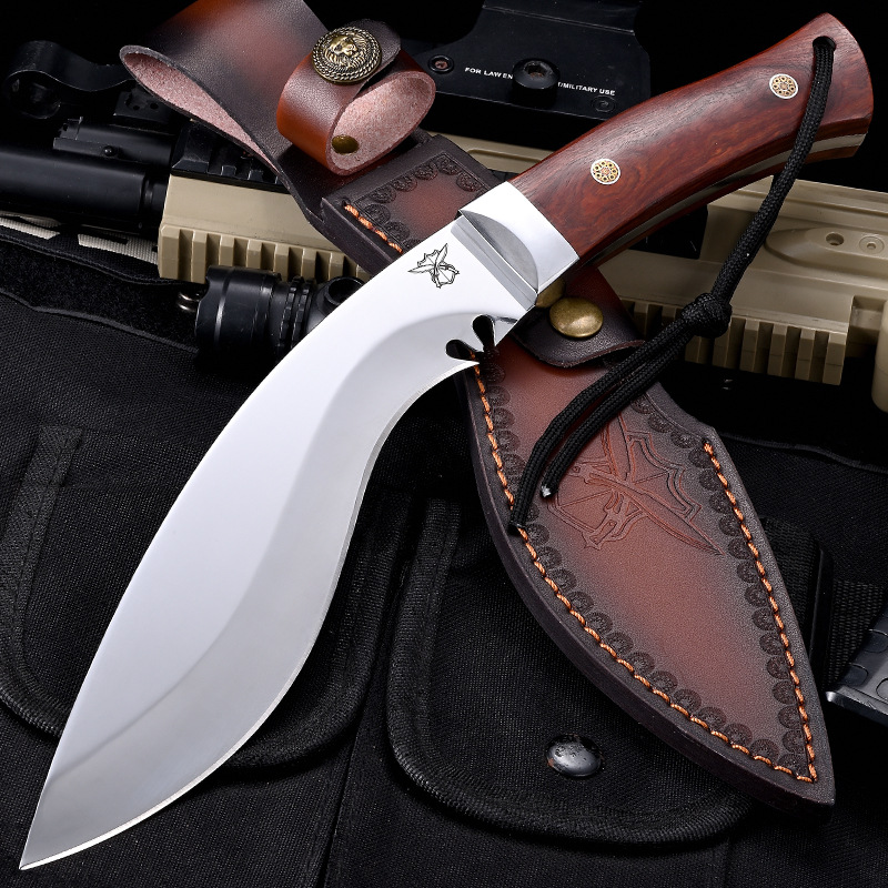 35-로얄 도그 레그의 업그레이드 버전