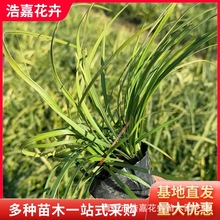 ���~����С�� ��������ѿ�ͺ��ͺ����������ݻ��� ���~��������