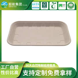 批发韶能一次性纸浆加厚长方形果蔬打包盘可降解水果蔬菜纸盘