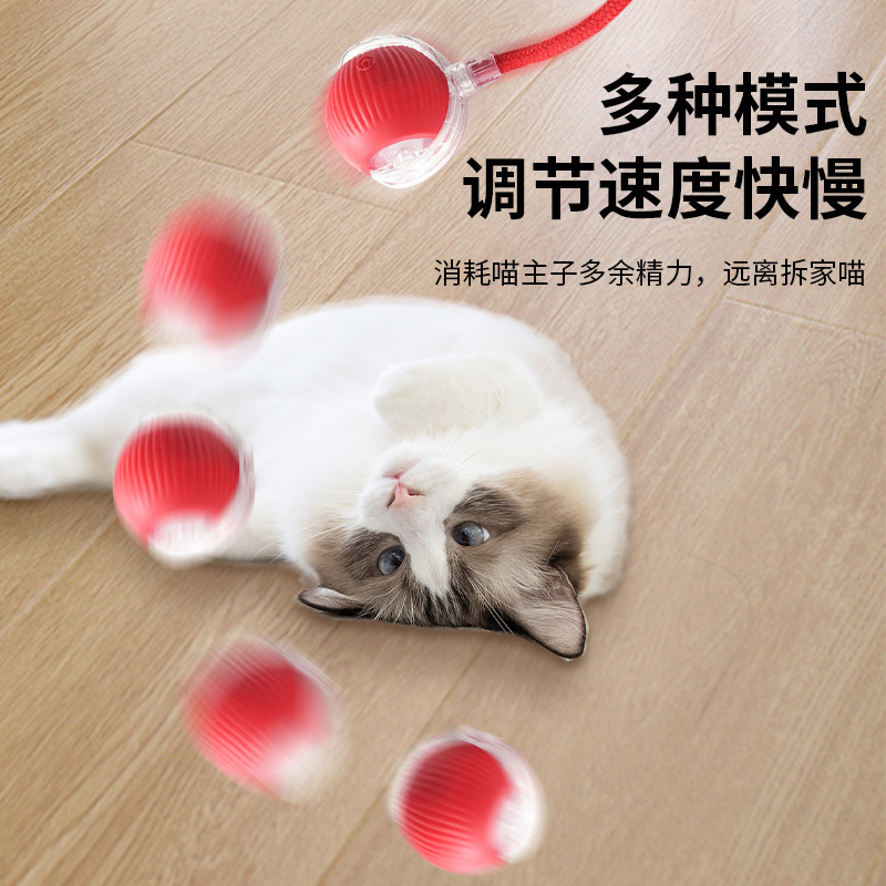 (2개) 국경 재미 있은 고양이 공 고양이 장난감 시뮬레이션 된 쥐 꼬리 점프 공 스마트 롤링 공 자동으로 재미 있은 고양이 공 전기 장난감을 깨운다