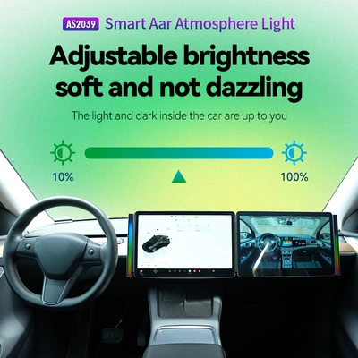 Voice Controlled Rhythm Light – Car display