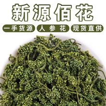 东北人参花 新货散装500g人参花干货 长白山农产品源头批发人参花