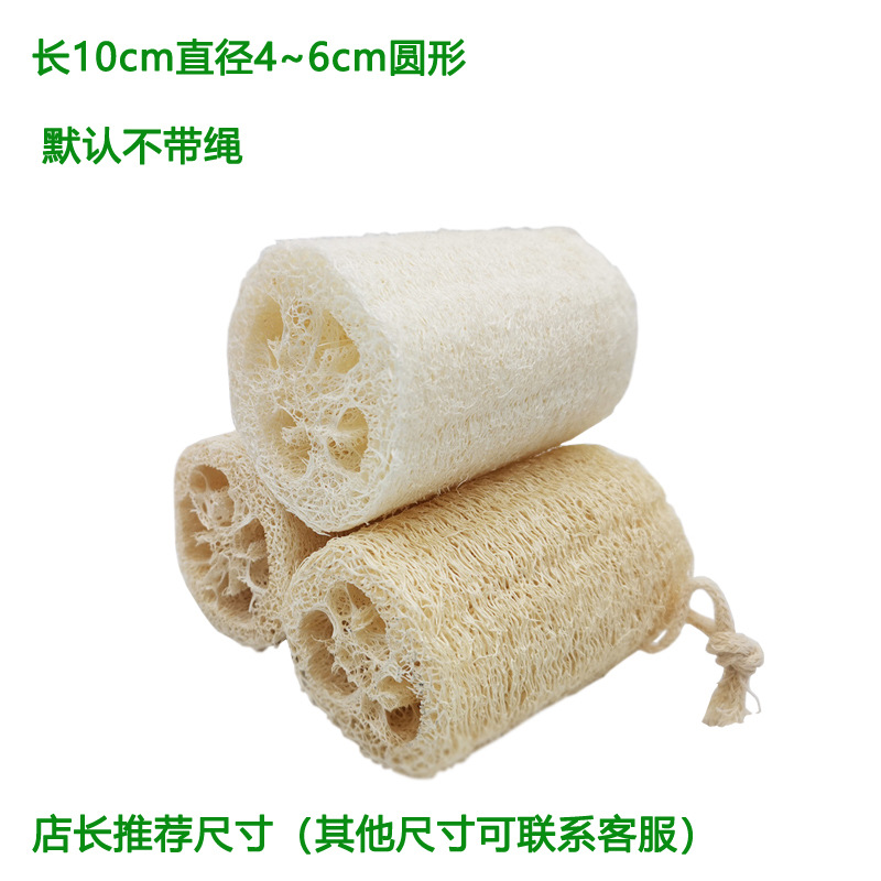 단단한 멜론 길이 약 10cm 직경 4 ~ 7cm